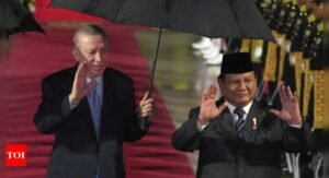Indonesia’s Prabowo, Turkey’s Erdogan agree to bolster ties